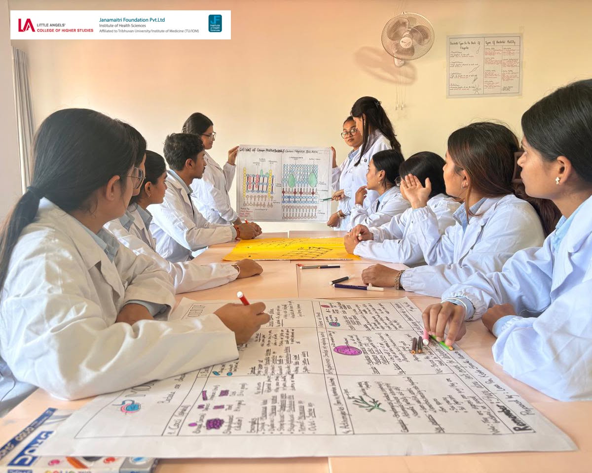 Project Work Presentation on Bacterial Anatomy