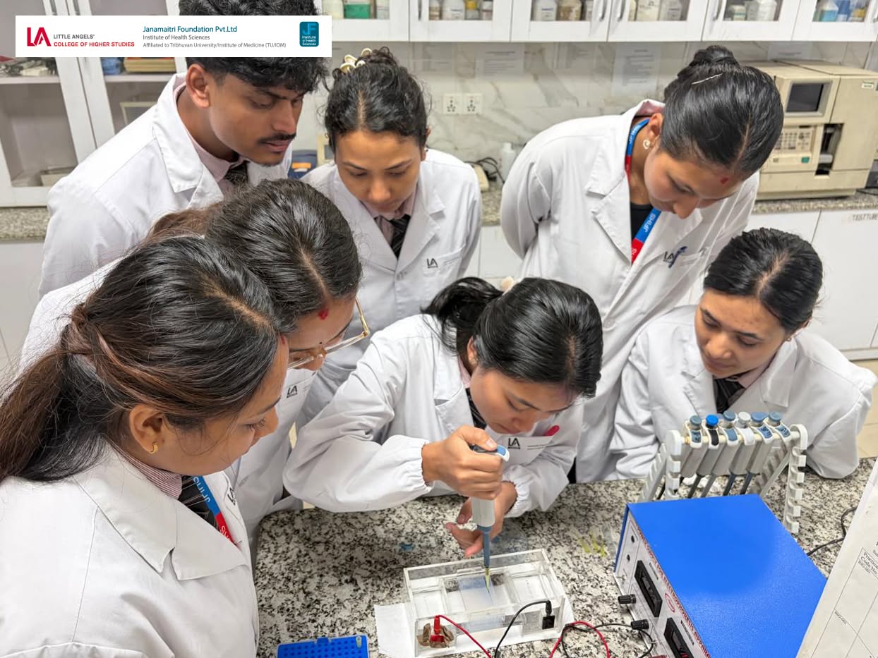 Advanced Practical Session on Protein Separation by Electrophoresis 